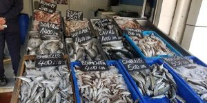 تحقيق أزيد من 4500 طن من الإنتاج السمكي خلال السداسي الأول