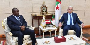 بوغالي يستعرض واقع التعاون بين البرلمان الجزائري والإفريقي