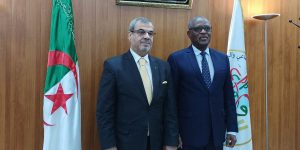 رئيس المجلس الوطني والاقتصادي والاجتماعي والبيئي يستقبل خبراء من اللجنة المستقلة رفيعة المستوى للأمن والتنمية في منطقة الساحل