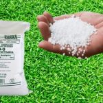 “اليوريا 46 بالمئة”.. الجزائر تتجه نحو تطوير صناعة “السماد الأغنى” محليا