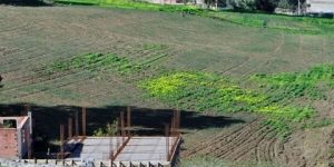 إشراك المستفيدين من قطع أرضية بالرغاية لإيجاد حلول حول مواقعها