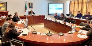 مجمع “ديفاندوس” يحقق رقم أعمال قدره 37 مليار دج في 2022