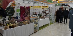 الصالون الدولي للتمور.. فرصة للشراكة والتواصل بين المنتجين