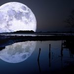 سنريهم آياتنا في الآفاق.. سجود الكائنات