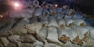 الدرك يتمكن من حجز 50 قنطارا من أوراق التبغ بميلة