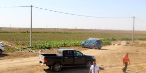 سونلغاز تدعم استدامة الفلاحة وتوسع الابتكار الطاقوي لدفع الاقتصاد الوطني