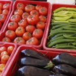 عبد اللطيف ديلمي: من الممكن تحقيق الاكتفاء الذاتي في المنتجات الزراعية في ظرف سنتين