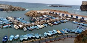 إستحداث 29 تعاونية مهنية للصيد البحري بعين تموشنت