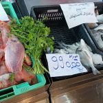 الشلف: الشروع في تسويق أسماك “الدوراد” و “التيلابيا” بأسعار تنافسية