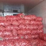 حجر ما يقارب 89 طنا من البصل كان موجها للمضاربة بمدينة العلمة