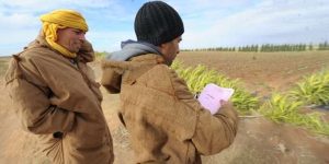 تبسة: 60 فلاحا  يستفيدون من قرارات لمنح الامتياز