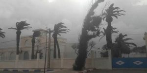 هبوب رياح قوية على عديد ولايات الوطن