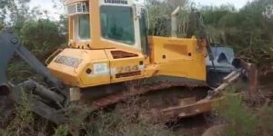 إطلاق ورشات الأشغال الجراحية في ثلاث ولايات للوقاية من حرائق الغابات