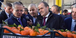 هني: الشروع قريبا في غرس أشجار الأرڤان عبر 6 ولايات