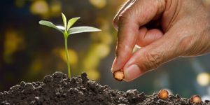 أمة وسطا … ما معنى الوسطية ؟