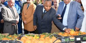 الشلف: 22 عارضا في تظاهرة العيد الوطني للبرتقال