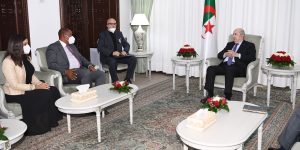 الرئيس تبون يستقبل حفيد زعيم جنوب إفريقيا الراحل نيلسون مانديلا