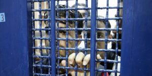 الأسرى يعلنون سلسلة خطوات تصعيدية ردا على إجراءات “بن غفير” العقابية