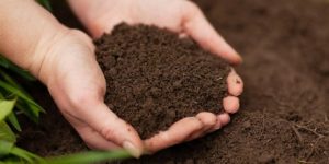 سنريهم آياتنا في الآفاق.. التراب طهور 