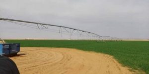 إلى 15 جوان الجاري.. وزارة الفلاحة: تمديد آجال فتح المنصة الرقمية للمستثمرين الراغبين في تنمية الزراعة الصحراوية