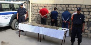 حجز قرابة 9 كلغ من الكيف المعالج في شهر جانفي بتيزي وزو