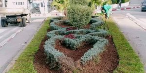 تدخلات يومية للحفاظ على جمالية المحيط بالشراقة