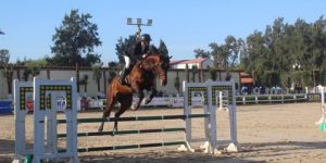 البطولة الوطنية للقدرة والتحمل.. اللقب لـ “أسلاك” تيارت و”لاشياندا’ البليدة