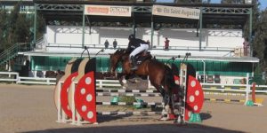 التحدي العالمي للقفز على الحواجز.. ثلاثة فرسان جزائريين في المرحلة النهائية