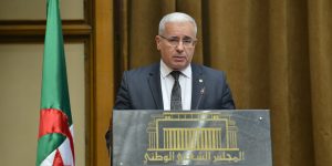 الجزائر أدركت قيمة الأمن ودوره في الحفاظ على المجتمع