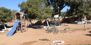 اقتراح عدة مواقع لإنشاء غابات ترفيهية بالمدية