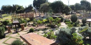 البليدة.. استحداث 12 مساحة خضراء خلال سنة 2023