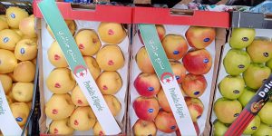 زبدي يتوقع أن تشهد أسعار التفاح المحلي منعرجا مهما مستقبلا