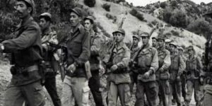 الأسبوع التاريخي والثقافي.. أجانب بقلوب ودماء جزائرية