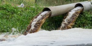 وزارة البيئة تسجل أكثر من 3600 مخالفة لمعايير البيئة