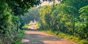 قصة قصيرة.. عندما يزهر الخريف