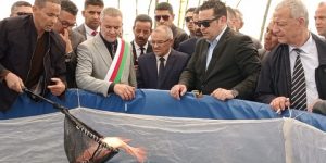 تربية المائيات: ضرورة رفع القدرات الإنتاجية