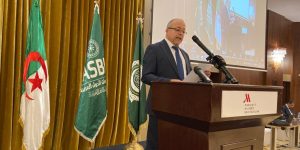 الجزائر تدعم الجهود الرامية إلى التمكن من وسائل الإعلام ووسائط الاتصال المبنية على الرقمنة