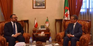 تعزيز التعاون الثنائي محور لقاء السيد هني مع وفد حكومي بولندي