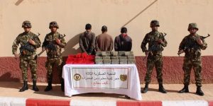 الجيش يطيح بـ8 عناصر دعم للجماعات الإرهابية خلال أسبوع