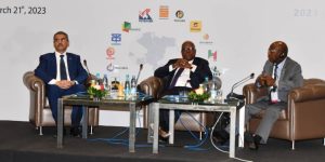 سوناطراك: تطوير التعاون مع الشركاء الأفارقة بإمكانيات محلية