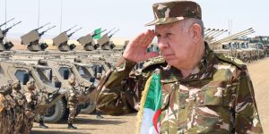 جزائر 2023 لها كل الطاقات والإمكانيات التي تؤهلها لتصبح دولة صاعدة بقوة