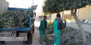 عمليات قطع الأشجار على حواف الطرقات تستوجب الحصول على ترخيص مسبق