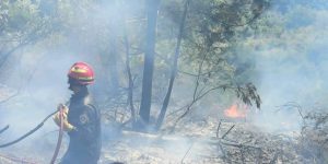 إخماد 80 بالمئة من الحرائق