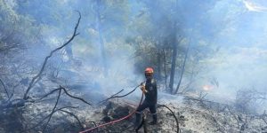 حريق غابي يودي بـ14 هكتارا من غابة الأوراس بباتنة