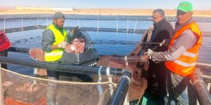 تكوين قرابة 60 نزيلا في مجال تربية المائيات بالبليدة