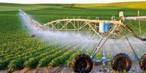 هني: إطلاق عملية مراقبة ميدانية للبرنامج الوطني للسقي التكميلي للحبوب