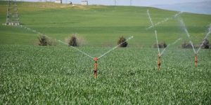 توسيع المساحة الفلاحية المسقية ببومرداس