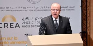 الوزير الأول يحث على تكريس ثقافة التأمين ويحذر: متابعات قضائية ضد البنوك التي ترفض تمويل الاستثمار الفلاحي