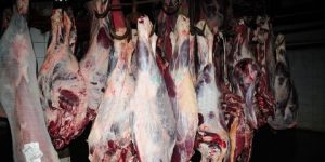 استيراد 30 ألف طن من اللحوم من الهند والبرازيل والسودان وكولومبيا