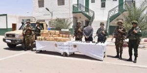 إحباط محاولات إدخال 4 قناطير من المخدرات عبر الحدود مع المغرب